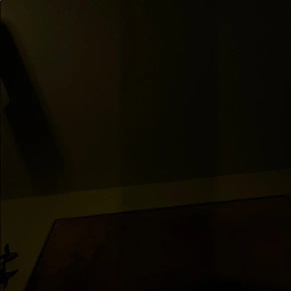 SOL ANGELES ANTHROPOLOGIEVintyge Black Bonita Sweatshirt. Size L - Picture 8 of 11